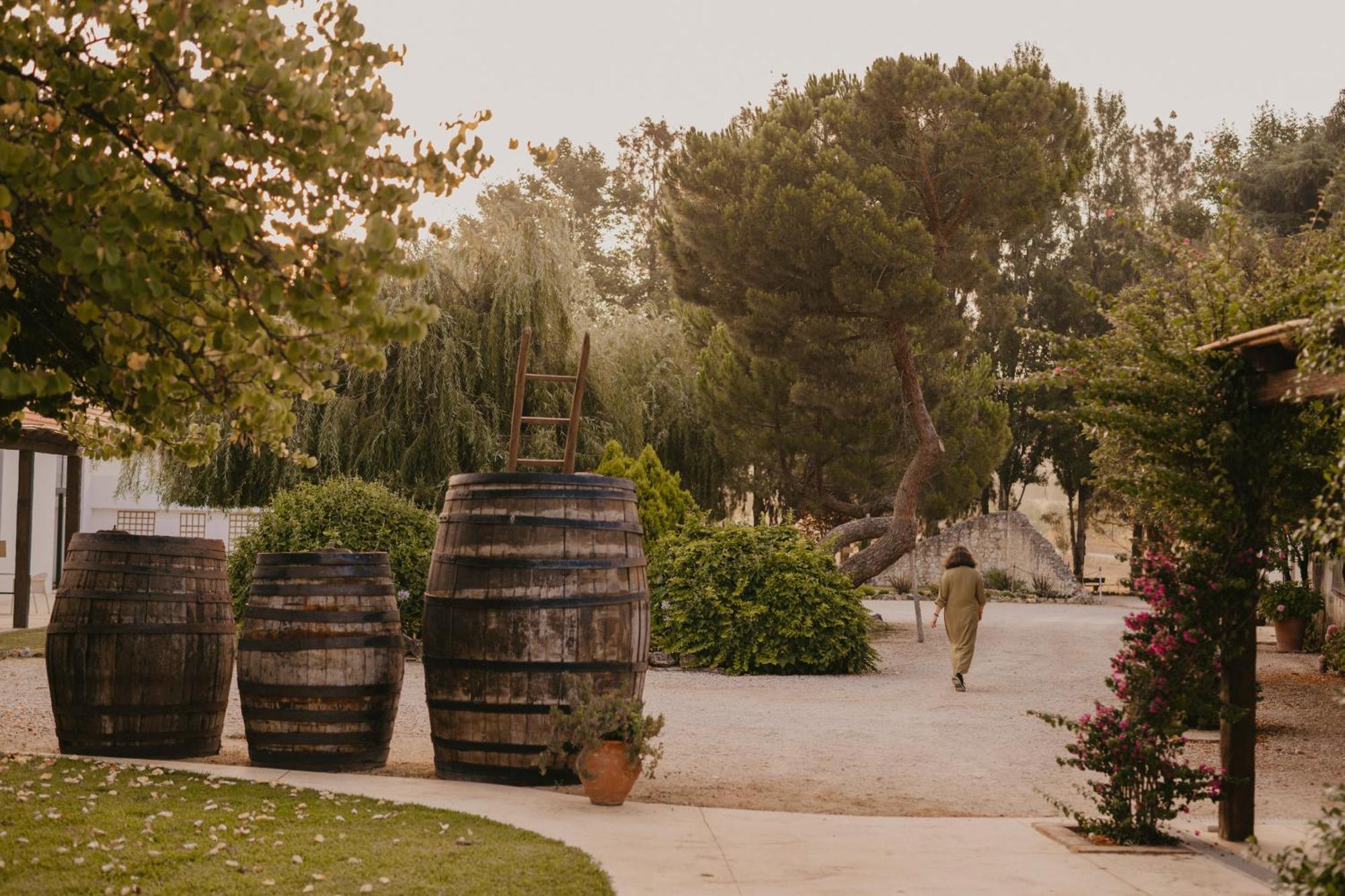 Quinta Carvalhas - The Green Farm Ξενοδοχείο Casevel Εξωτερικό φωτογραφία