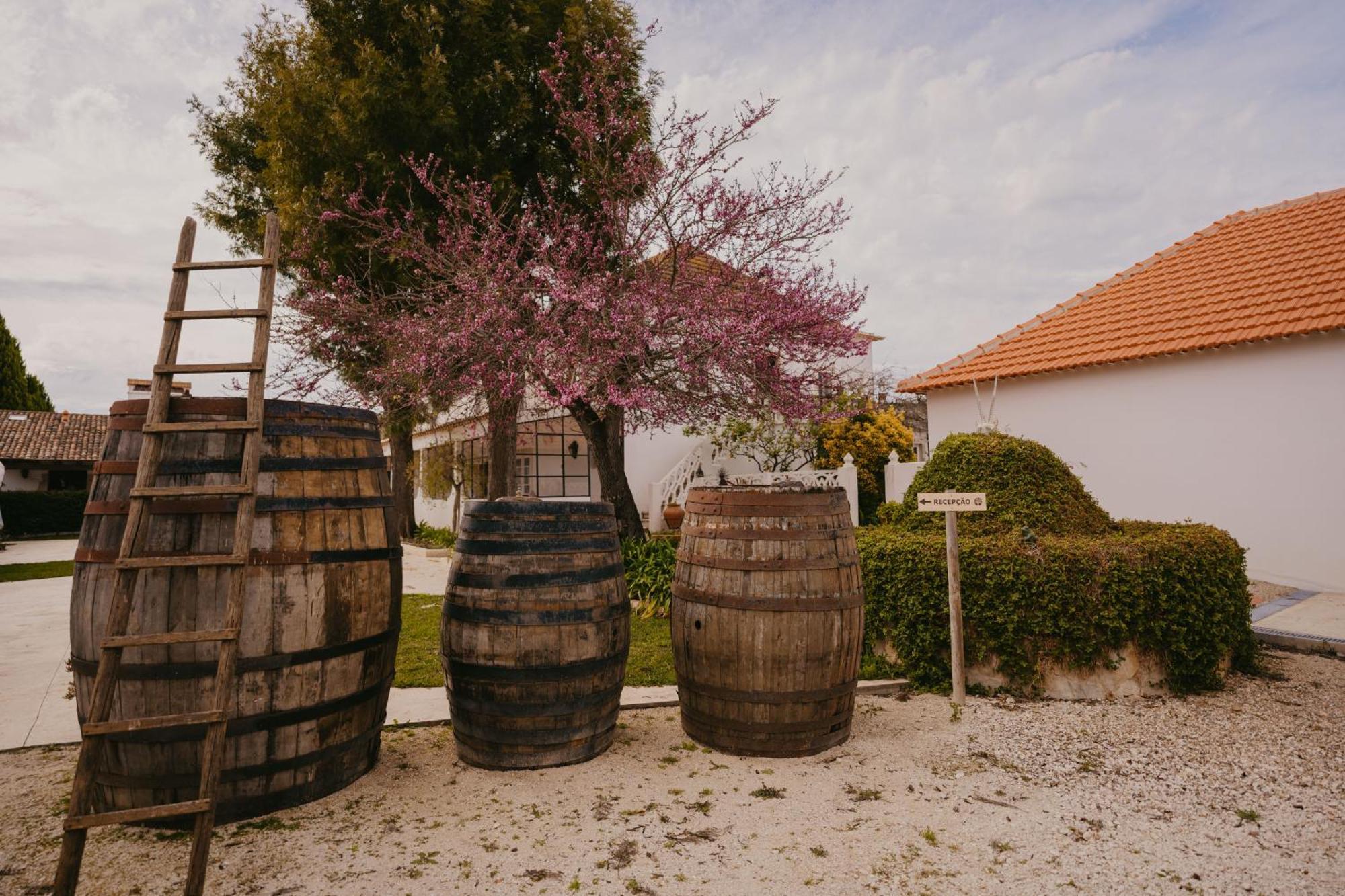 Quinta Carvalhas - The Green Farm Ξενοδοχείο Casevel Εξωτερικό φωτογραφία