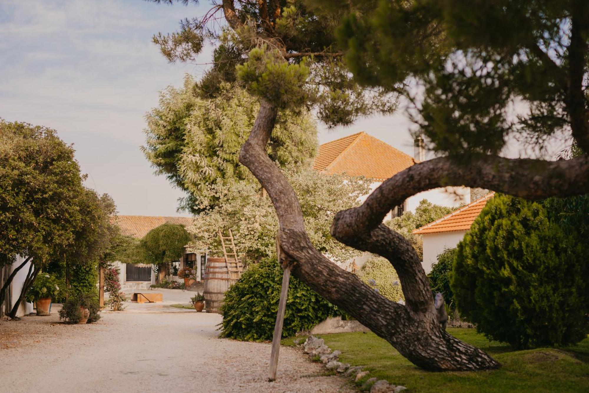 Quinta Carvalhas - The Green Farm Ξενοδοχείο Casevel Εξωτερικό φωτογραφία