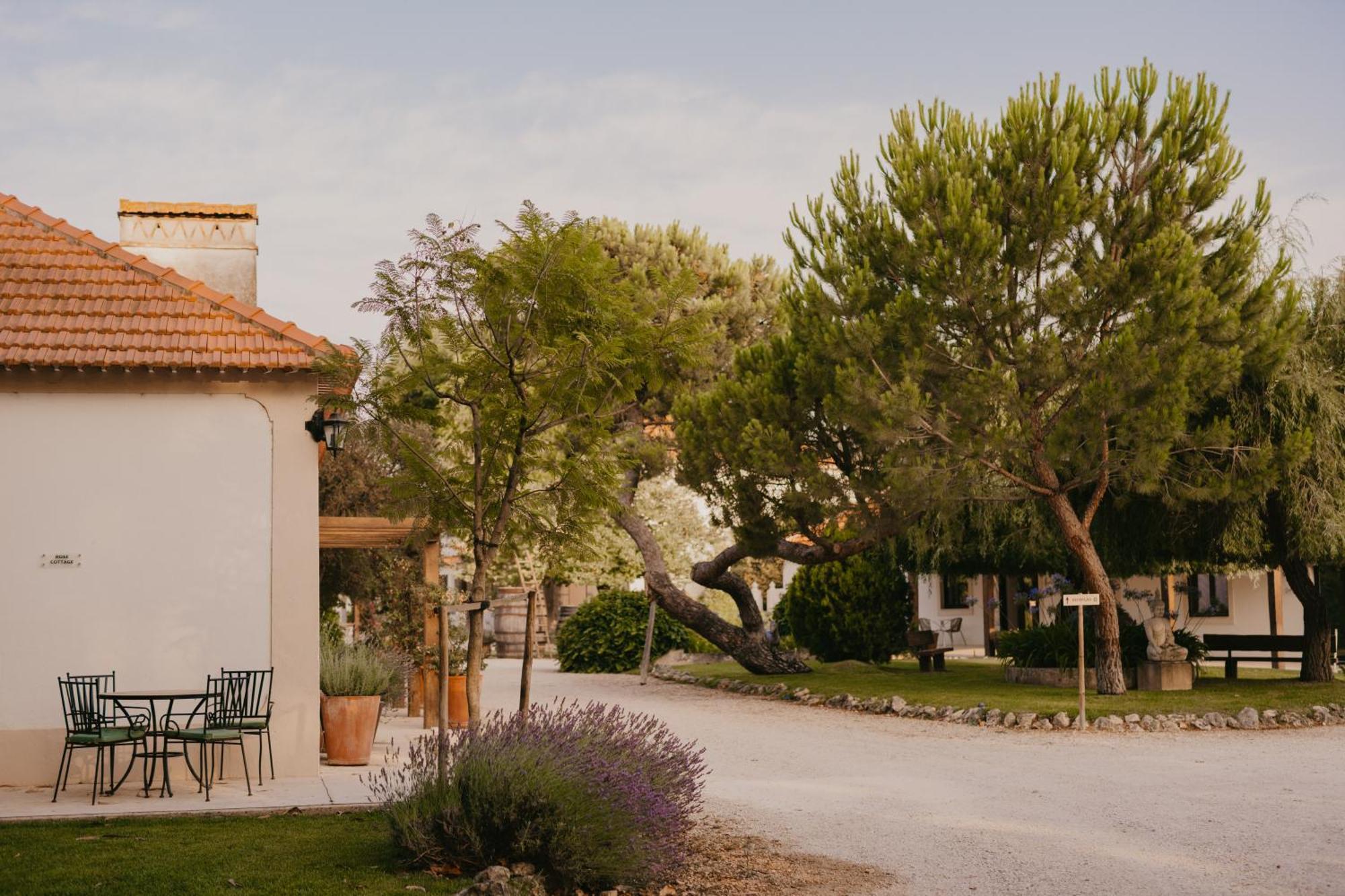 Quinta Carvalhas - The Green Farm Ξενοδοχείο Casevel Εξωτερικό φωτογραφία